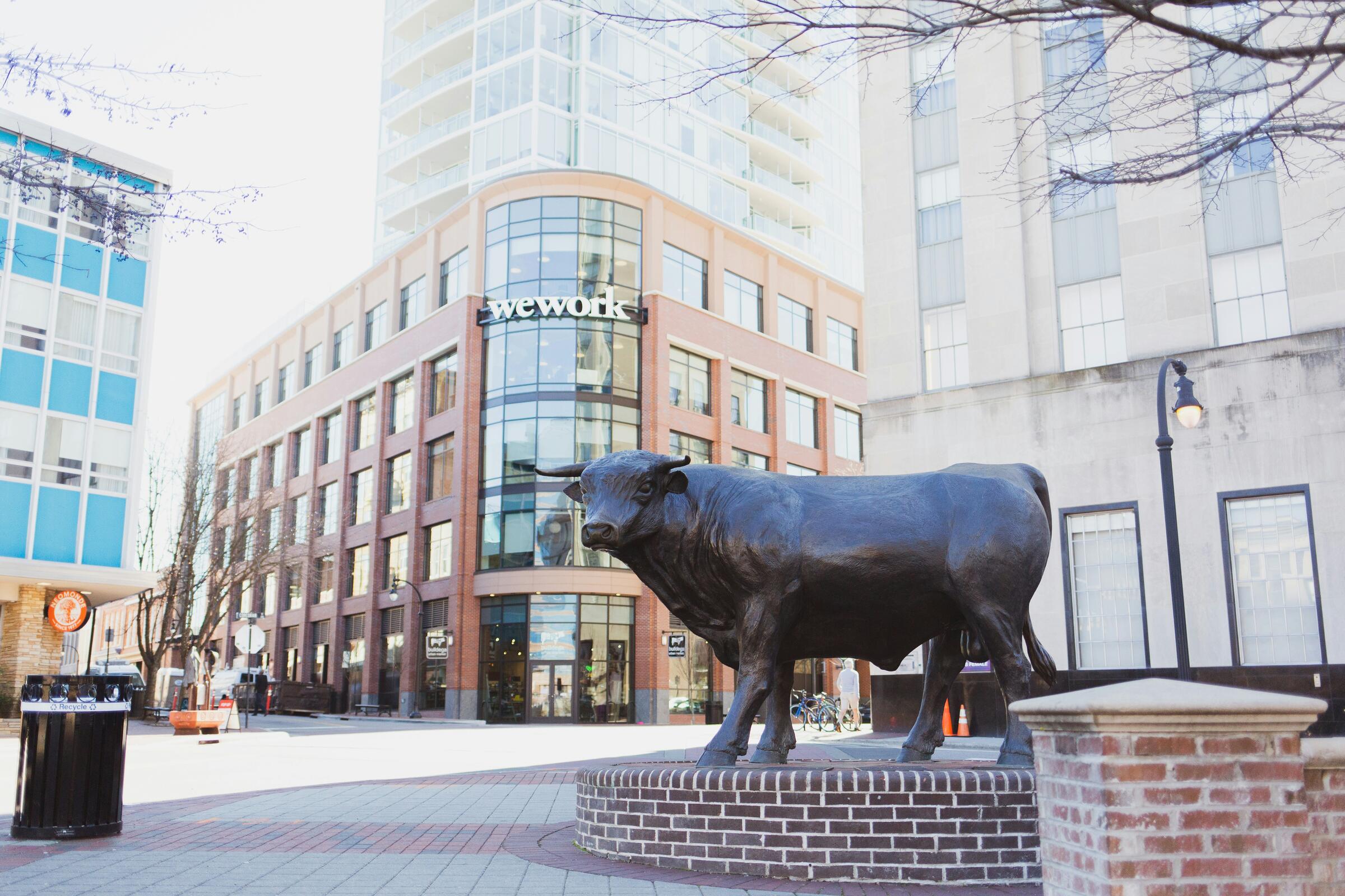 The Major the Bull statue in downtown Durham